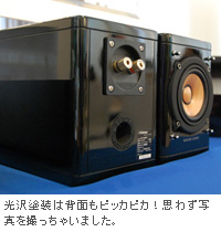 光沢塗装は背面もピッカピカ！思わず写真を撮っちゃいました。